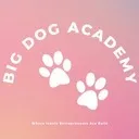 Logo Big Dog Academy