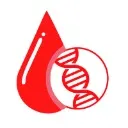 Logo Bloodwork Blueprint