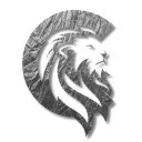 Logo Cadre Apostolic Network