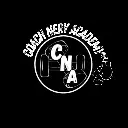 Logo Coach Nery Academy