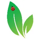 Logo Debbie Does Detox Academy