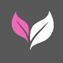Logo <mark>Female</mark> Founders Collective VIP