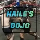 Logo Haile's <mark>Dojo</mark>