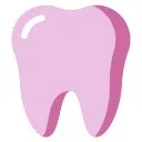 Logo Her Dental Journey Success