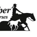 Logo Julie Richer - Équitation
