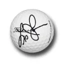 Logo LesJohnsonPGA