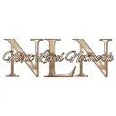 Logo Next Level <mark>Network</mark>