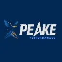 Logo Peake Performance