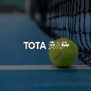 Logo The Online Tennis Academy