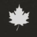 Logo Canadian Real Estate Investing