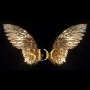 Logo Shes Divinely Guided