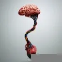 Logo التماهي