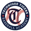 Logo Technique <mark>Baseball</mark> Online